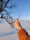 Pierre Lannier - Multiple női karóra - 009M628