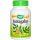 NATURES WAY ASTRAGALUS KAPSZULA 100 DB