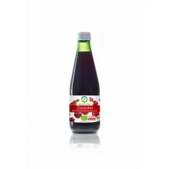 BIO FOOD BIO 100% TŐZEGÁFONYALÉ 300ML