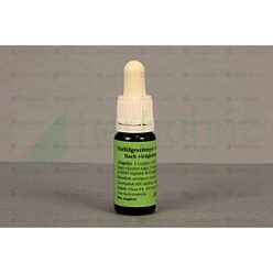 Bach virágeszencia szelídgesztenye 10 ml
