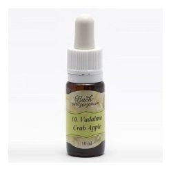 Bach virágeszencia vadrózsa 10 ml