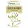 Herbatrend Fehér Fagyöngy Tea  80 g