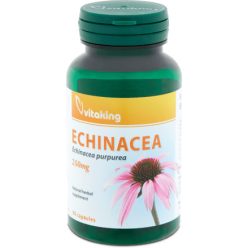 Vitaking Echinacea Kapszula  90 db