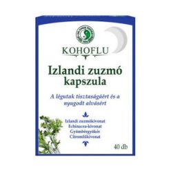 Dr.Chen kohoflu izlandi zuzmó kapszula-éjszaka 40 db