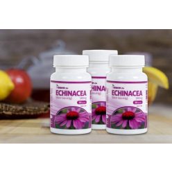 Netamin Echinacea 380 mg kapszula