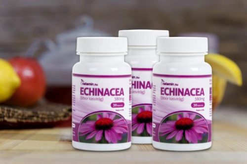 Netamin Echinacea 380 mg kapszula