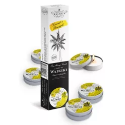   Petits Joujoux Waikiki - masszázsgyertya szett - kókusz-ananász (5 x 43ml)