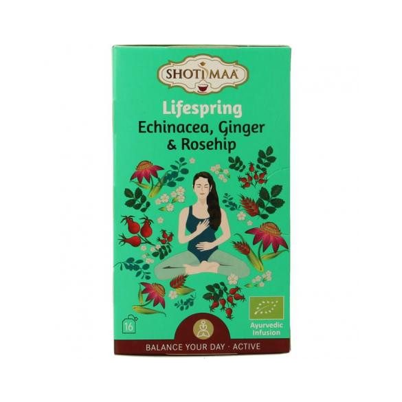 Shoti Maa bio lifespring echinacea, gyömbér és csipkebogyó tea 16x2g 32 g